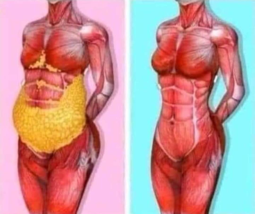 Active Wellness & Weight Management Centre ENGAPUZHA